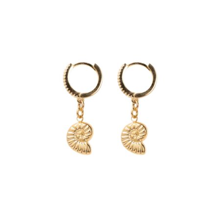 Little Sea Snail 925 G