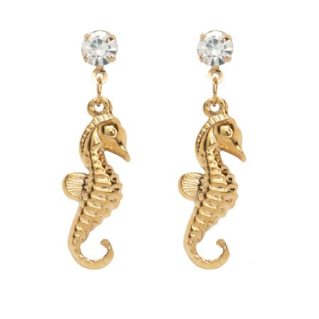 Hyppocampos Zircon G