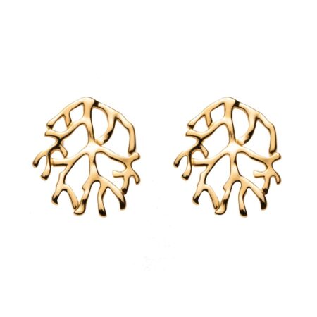 Coral Tree G