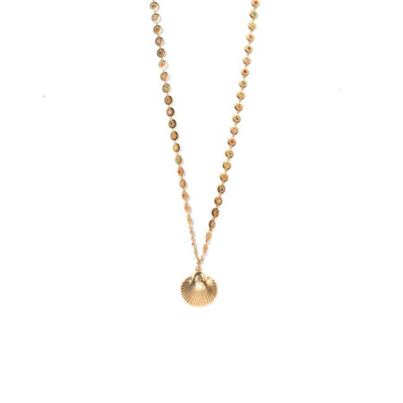 Antique Shell G