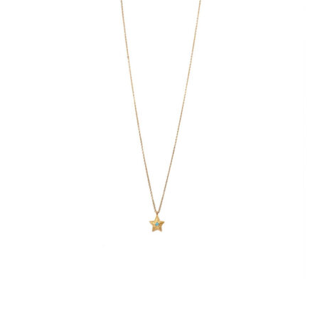 Small Starfish St.Steel G