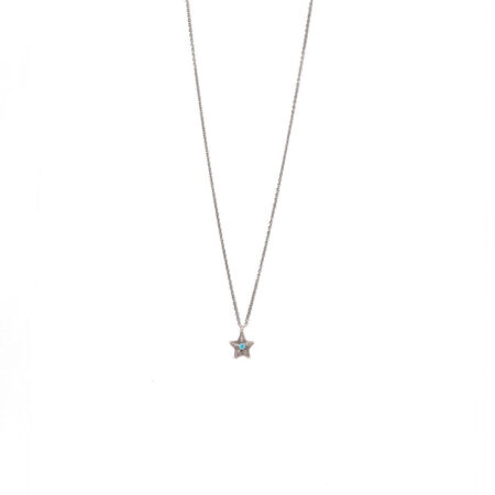 Small Starfish St.Steel S