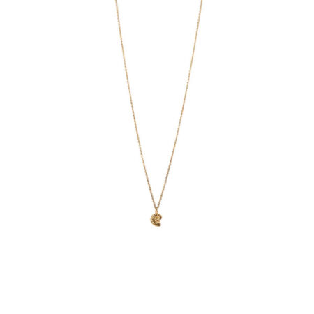 Small Sea Snail St.Steel G