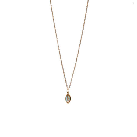 Small Blue Shell St.Steel G