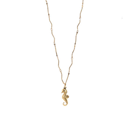 Hippocampus St.Steel G