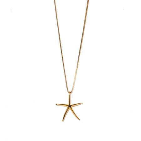 Big Starfish St.Steel G