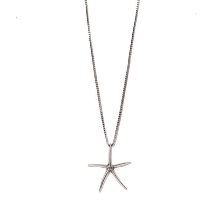 Big Starfish St.Steel S
