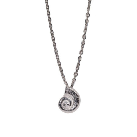 Large Snail St.Steel S