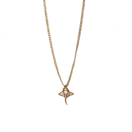 Irize Salachi St.Steel G