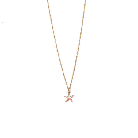 Orange Starfish St.Steel G