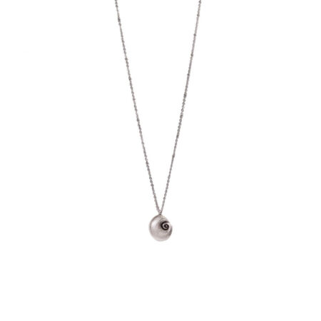 Round Seashell St.Steel S