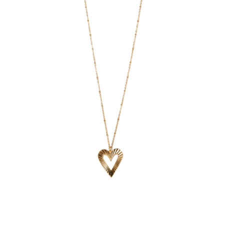 Big Heart St.Steel G