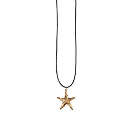 Antique Starfish Leather G