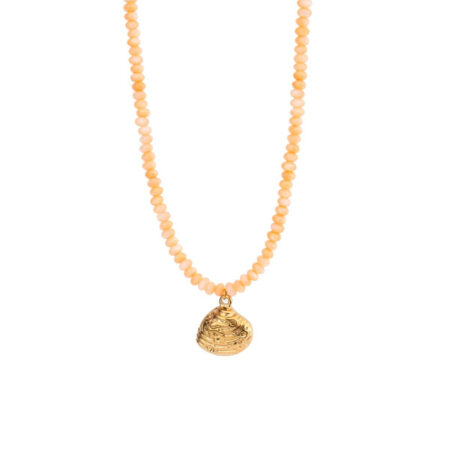 Sagre Shell Orange G