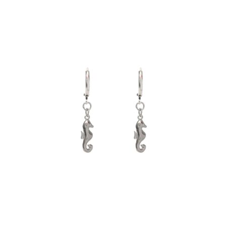 Seahorse Luna S