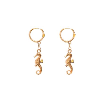 Seahorse G