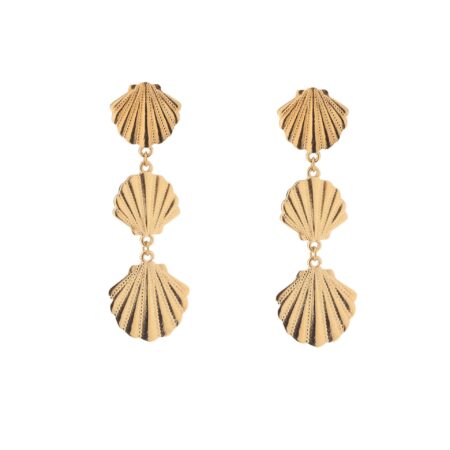 Shells G