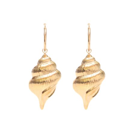 Large Seashell G