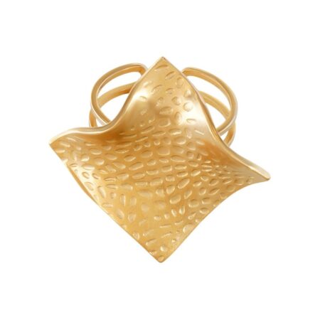 Chips St.Steel G