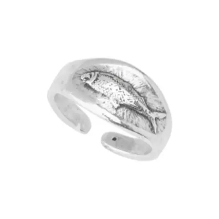 Swimming Fish S