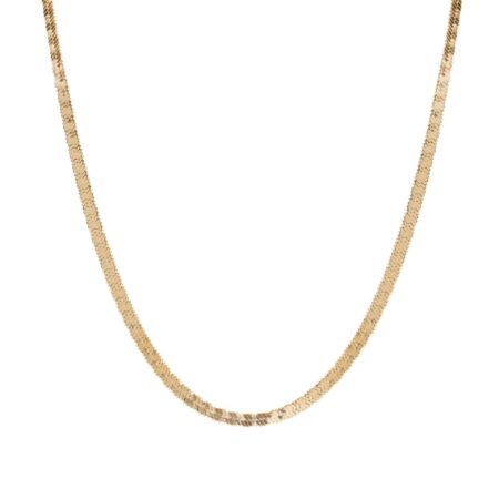 Fishbone Chain St.Steel G