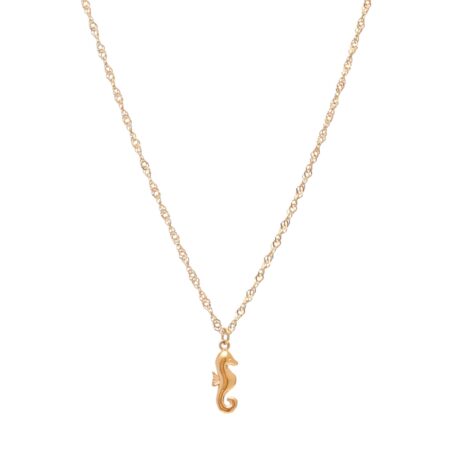 Seahorse Luna St.Steel G