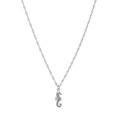 Seahorse Luna St.Steel S