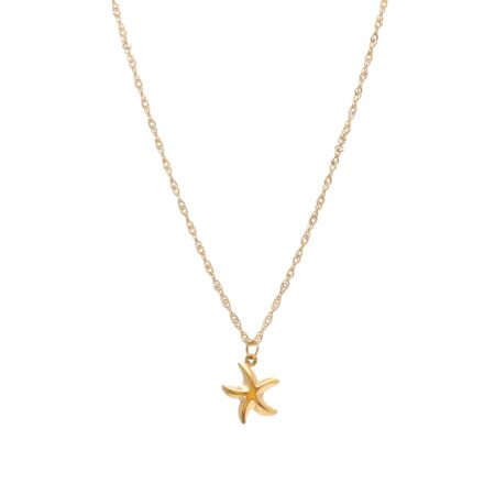 Crazy Star St.Steel G