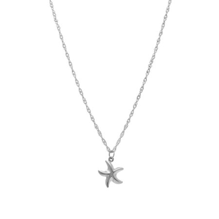 Crazy Star St.Steel S