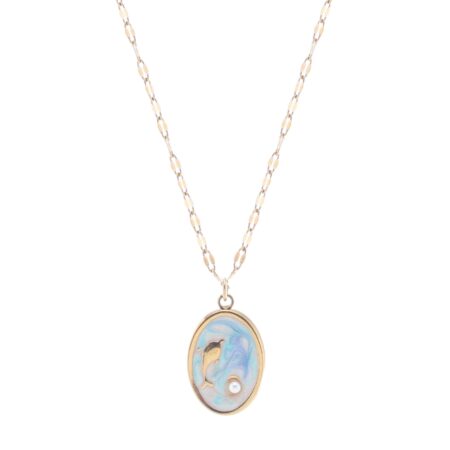 Dolphin Pearl St.Steel G