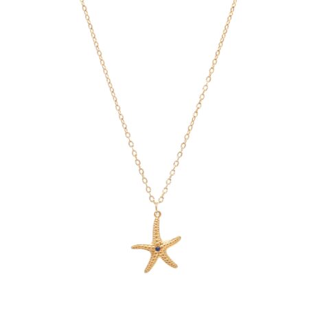Starfish Blue Stone St.Steel G