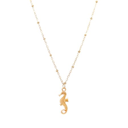 Seahorse St.Steel G