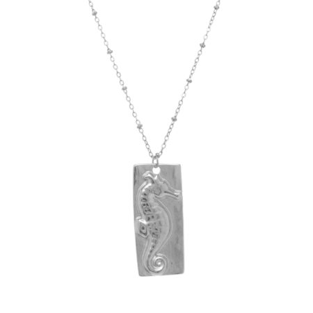 Big Seahorse St.Steel S