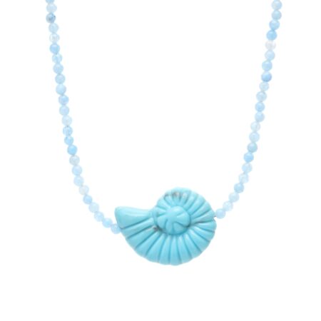 Big Snail Blue G