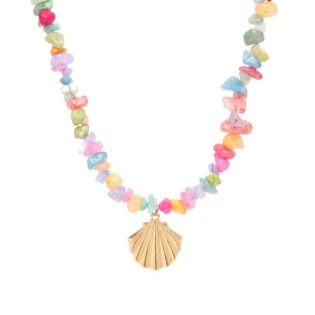 Shell Colourful Stone G
